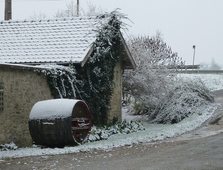 Champagne Francis Boulard et Fils - Winery - Premiere Neige Novembre 2010